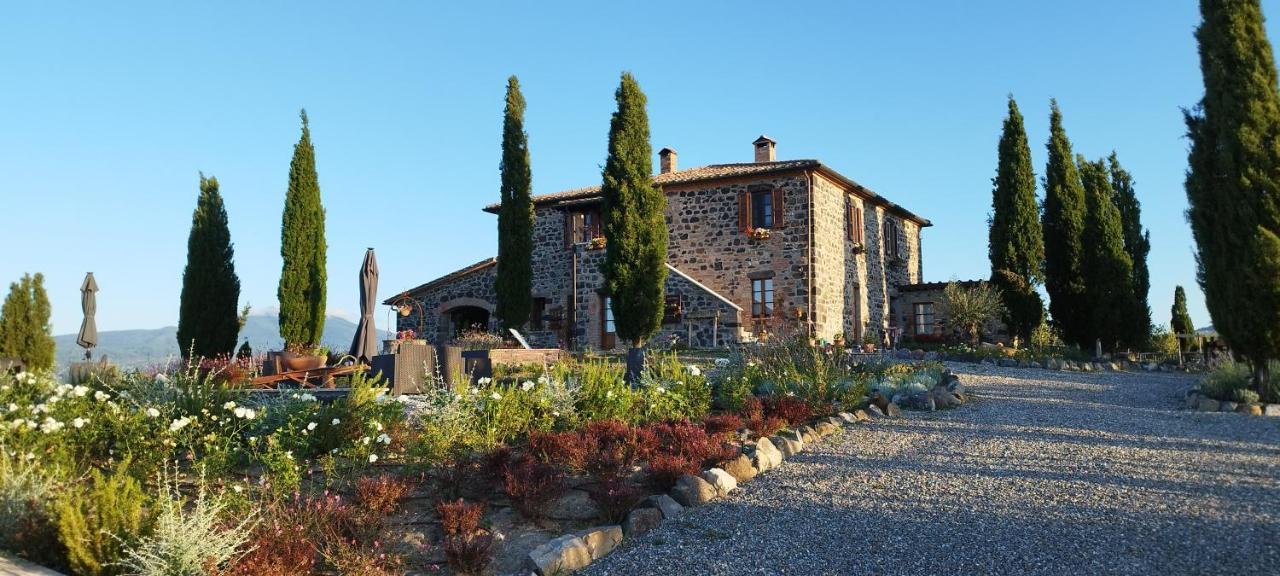 Casa Al Maestro B&B Радикофани Экстерьер фото