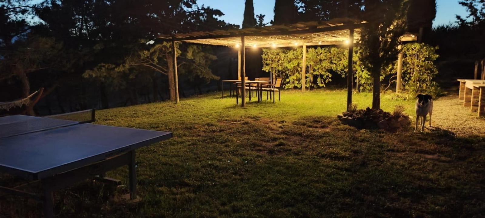 Casa Al Maestro B&B Радикофани Экстерьер фото